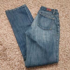 AG Adriano Goldschmied The Gemini‎ Womens 29 Regular Low Rise Jeans